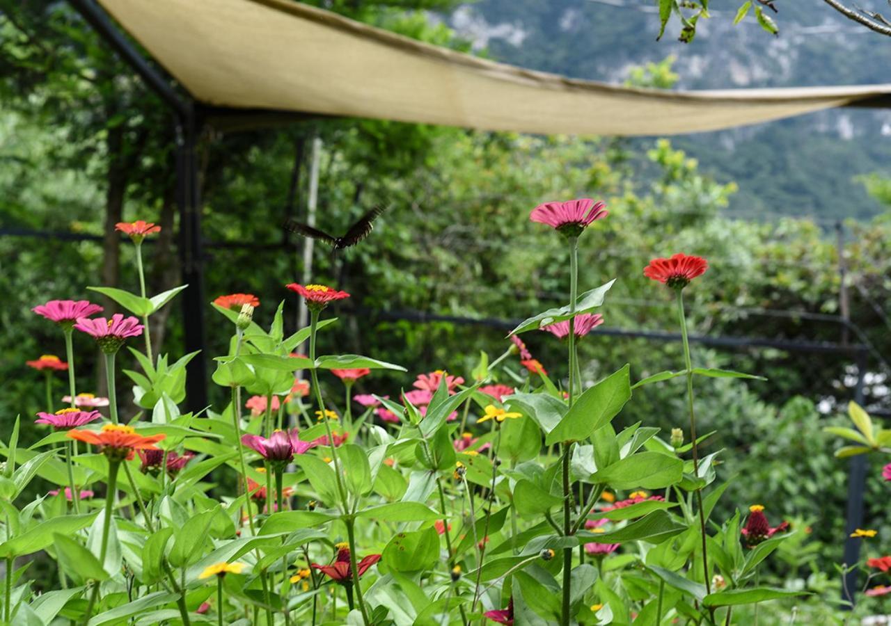 Cabanas Yei Calli Ciudad Mendoza Εξωτερικό φωτογραφία